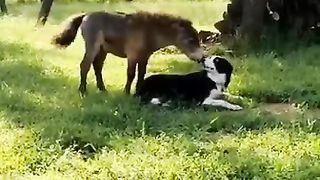 #funny