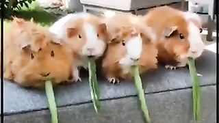 #funny