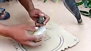 Funny  Videos Of The Day 0030! ???????? #fyp #memes #memedaily
