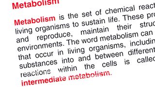 Mind Matters Exploring the relationship between thoughts and metabolism