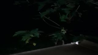 Tukutu berda