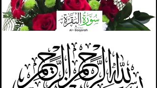 Muhammad Wasi Asad