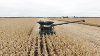 FENDT Ideal 10T Combine