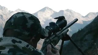 Shooting Animals