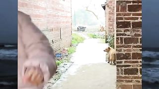 Funny moment