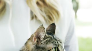 Serene Moments: Woman and Cat Bonding in Nature