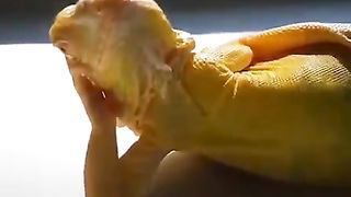 #funny