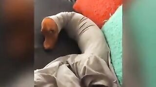 #funny
