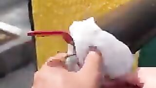 Funny  Videos Of The Day 0030! ???????? #fyp #memes #memedaily
