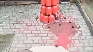 Funny  Videos Of The Day 0030! ???????? #fyp #memes #memedaily