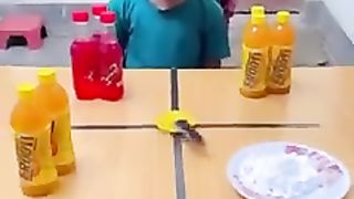 Funny  Videos Of The Day 0030! ???????? #fyp #memes #memedaily