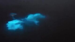 Air Laut Bercahaya Bila Disentuh