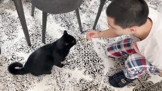 Ох как он не любит когда его ругают