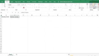 Full Automatic Data Entry From In Excel