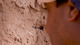 فيديو.. الزعاق يكشف عن دول أطول ساعات صيام في العالم