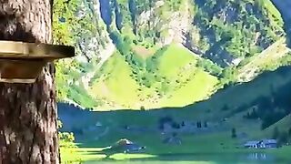 Pakistan video