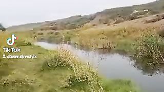 ????????????????????????????????????????????????????????????????????????????????????☘️????????????????????