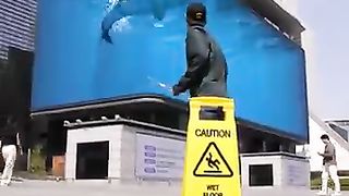 Baby Shark (2)