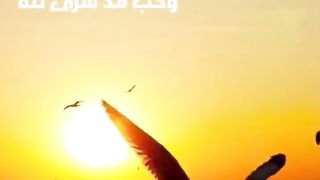 لأننا #أخوة في #الله