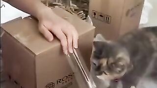 When you have a pet like this ????❤️❤️
