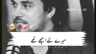Best lines