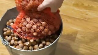 Ведро орехов для белочки