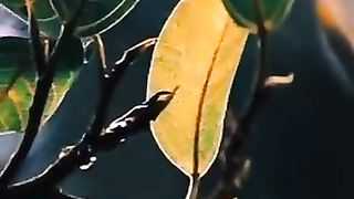 Razzaq5 -Beautiful video shorts Quran verses @shorts Qurani aayat__@shortvideo _@ytshorts _Subhan Allah. plz subscribe and watch my video