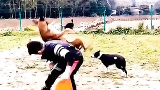Training