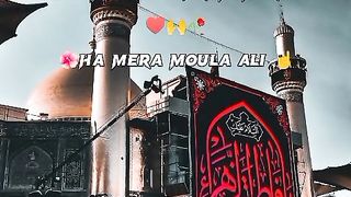 Noha Myra Mola Ali