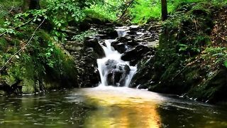 The beauty of our planet