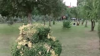 Beautiful view