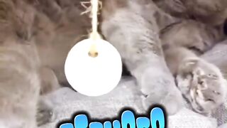с выходными