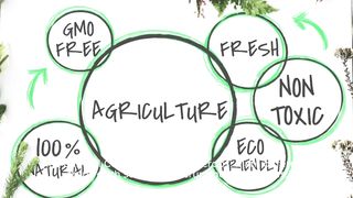 Effective strategies for managing garden pests without natural pesticides