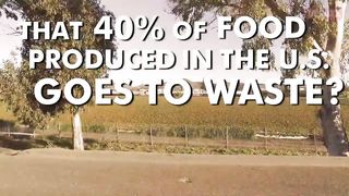 Shocking Amount of Food Waste In The U.S. _ Ventura Spirits _ UPROXX Reports