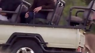 photographer captures the moment a lion sneaks up on a safari group