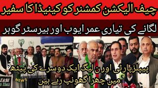 PPP and PML-N are stabbing each other in the back... International day against Islamophobia is due to Imran Khan