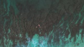 "Hawaii's Tropical Paradise: A Journey Through Nature's Splendor"