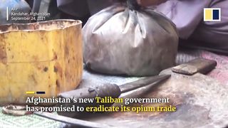 Opium trade blooms in Afghanistan as country’s economy wilts after Taliban takeo