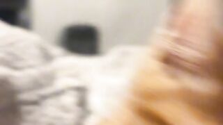 orange cat is impossible