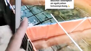 Cek 3 hal ini jika Ikan lele MATI 50-100 ekor budidaya di jaring (keramba)