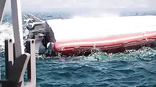 Shark attack