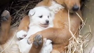 Very cute ???? beautiful ????❤️ family