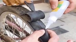 Made in china