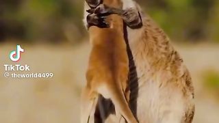 Motivation video