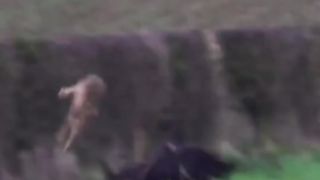 HUnting