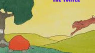 THE BUNNY AND THE TURTLE