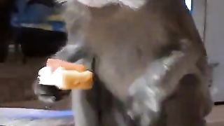 My pet