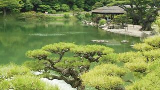 Gardens Japan: Explore the Tranquil Beauty of Nature