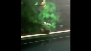 UNUSUAL MEMES COMPILATION
