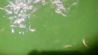 Jika ikan betah didasar kolam, pas dilempar pakan langsung nyambar, berarti air kolam sehat